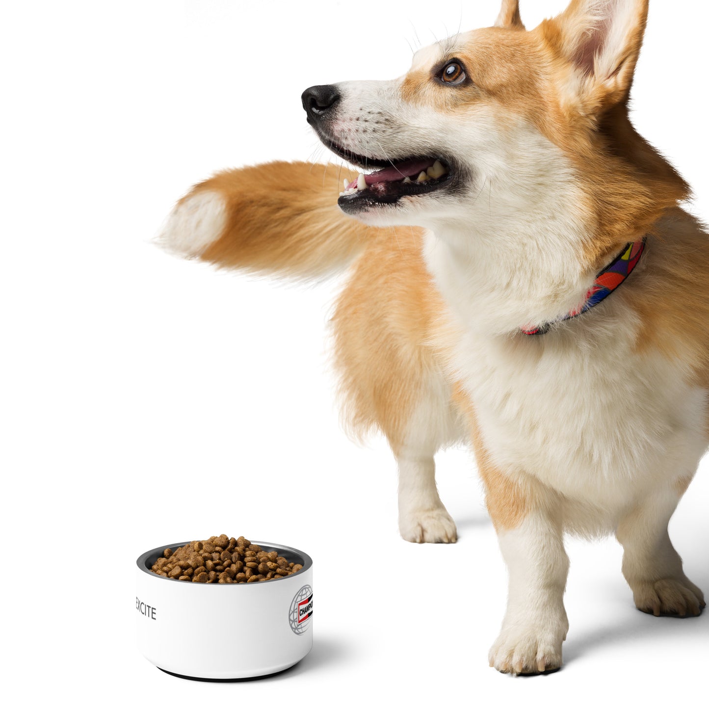 Champion Pet Bowl