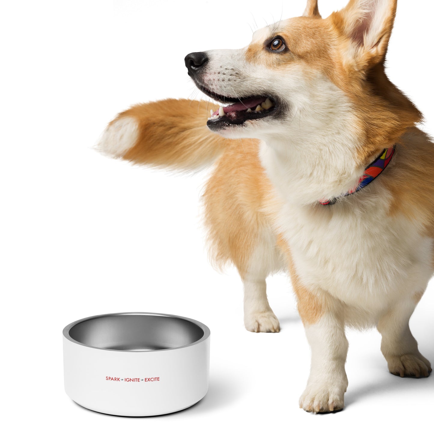 Champion Pet Bowl