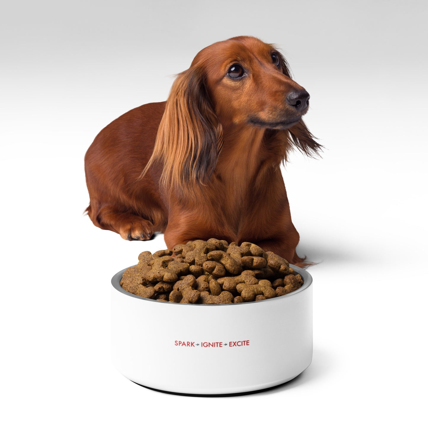 Champion Pet Bowl