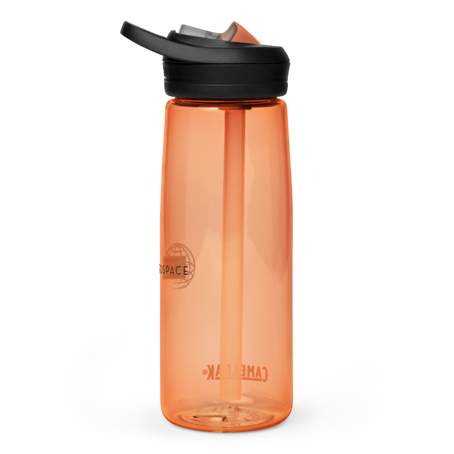 Champion Aerospace Logo Sports Water Bottle