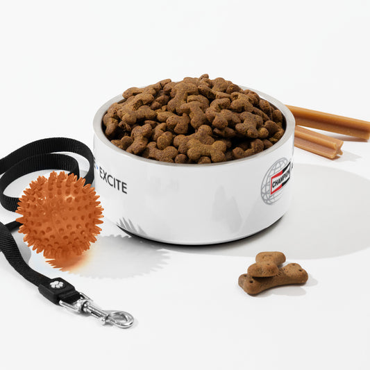 Champion Pet Bowl